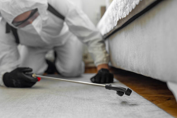 Professional Bed Bug Control technician working in Pawtucket, RI
