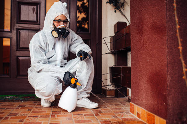 Reliable Bed Bug Control contractor in Pawtucket, RI by Nex Pest Control